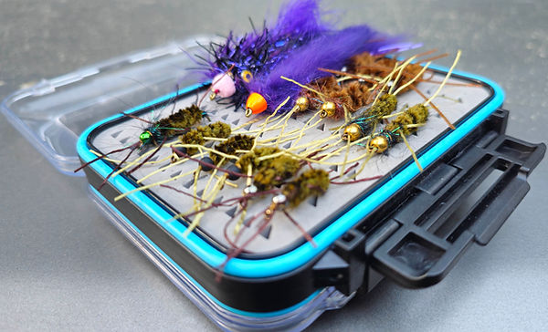 An open fly box filled with various trout flies, including nymphs and leeches.