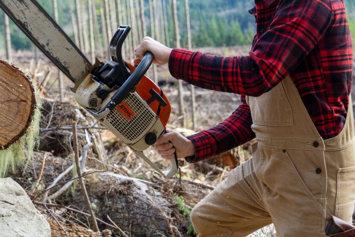 A man in a red flannel shirt using an axe to chop wood outdoors.
