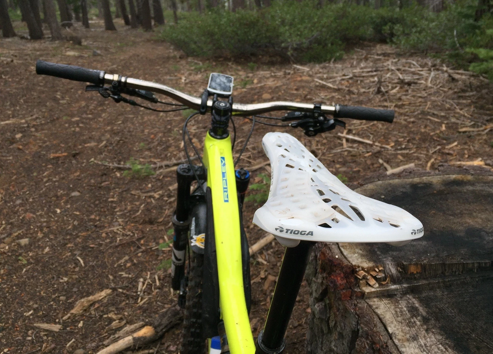 The Tioga Spyder Outland saddle with its distinctive webbed, open-shell construction.