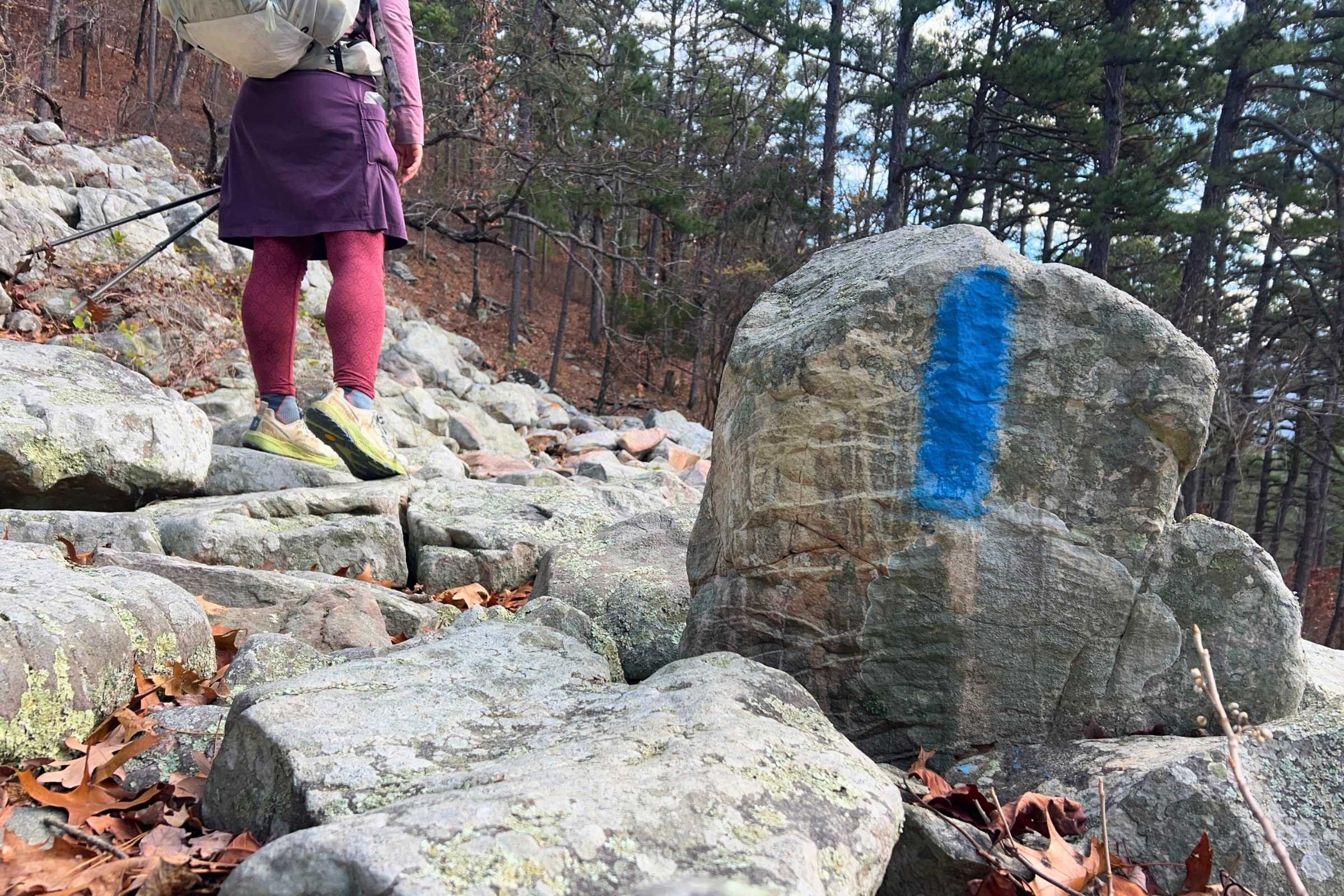 A pair of Altra Timp 6 trail running shoes on a rocky section of the Ouachita Trail.