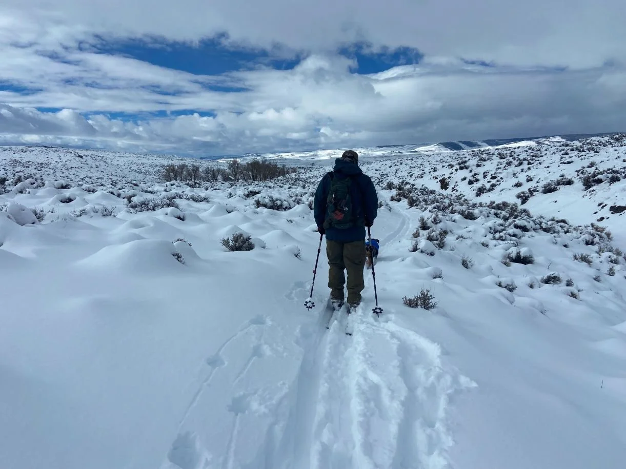 A person skiing in a snowy mountain environment with a Garmin inReach Messenger attached to their gear.