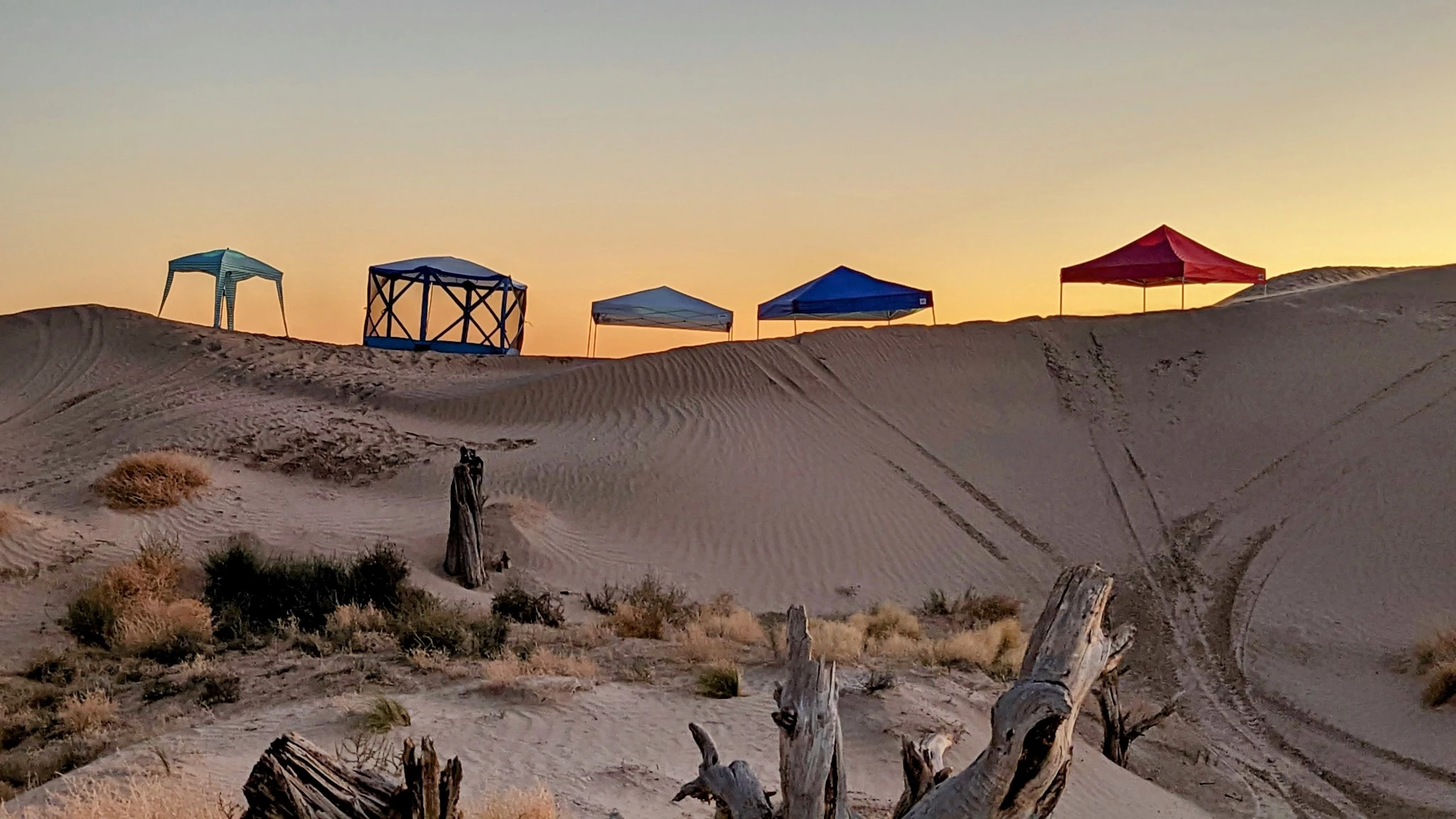 Several different canopy tents lined up side-by-side in an open field for durability and ease-of-use testing.
