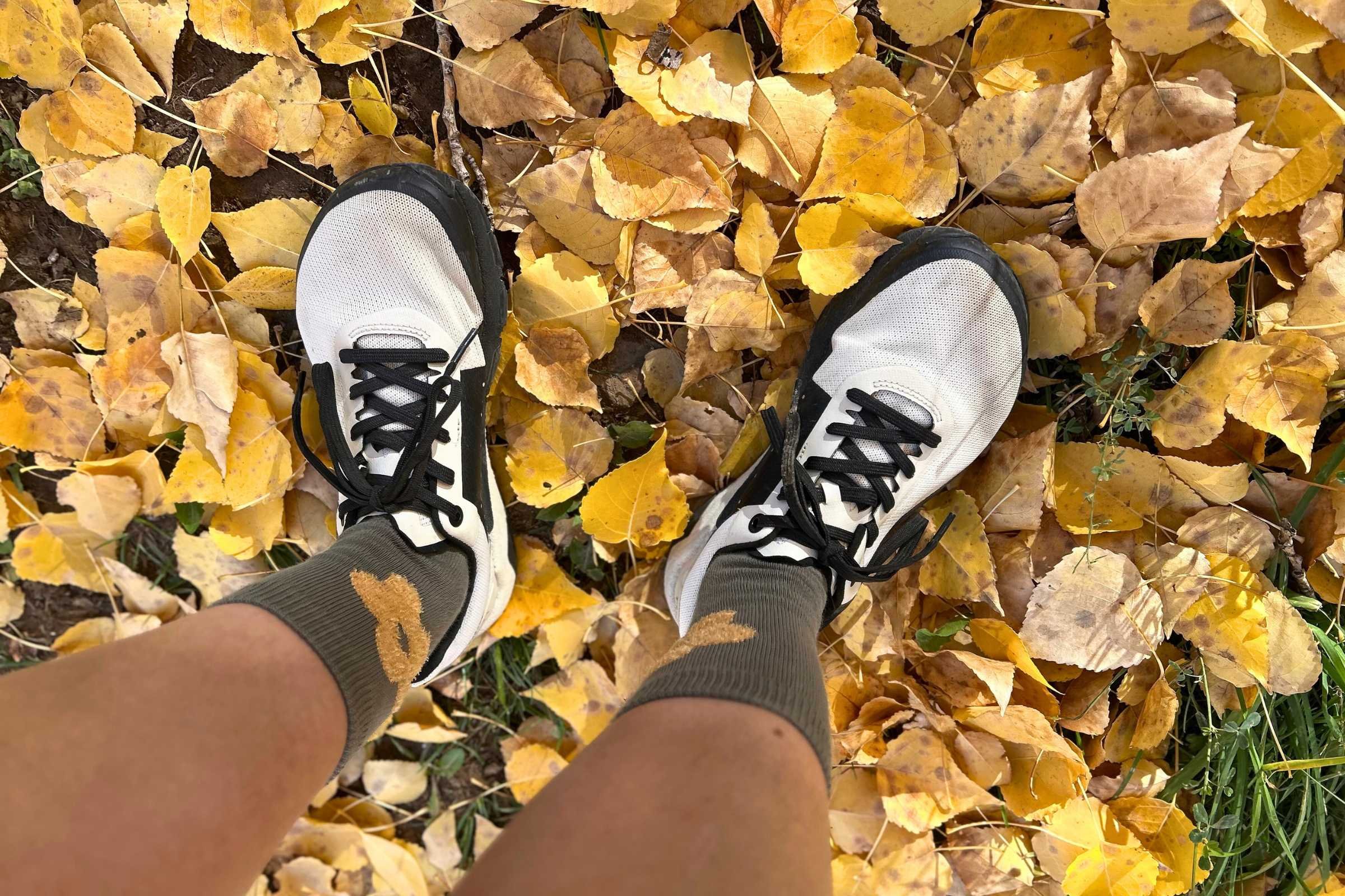 Top-down view of the Notace Yama T1 shoes showing the wide anatomical toe box.
