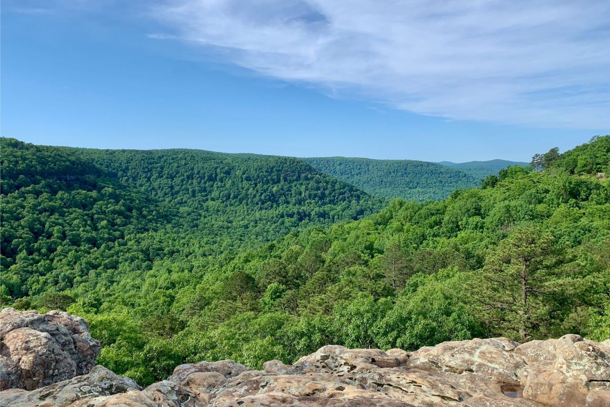 A wide-angle scenic view of the lush Ozark-St. Francis National Forest from a rocky overlook at Sam's Throne.