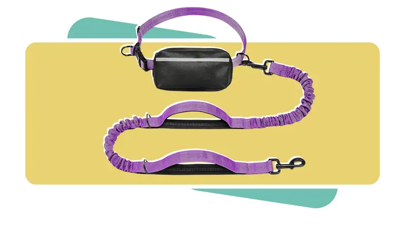 Hands-free dog leash waist belt featuring an integrated zipper pouch for small essentials.