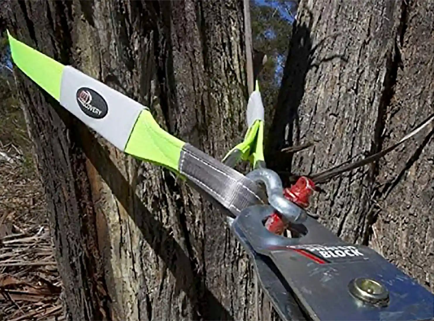 A tree saver strap wrapped around a large tree trunk to act as a secure winching anchor.