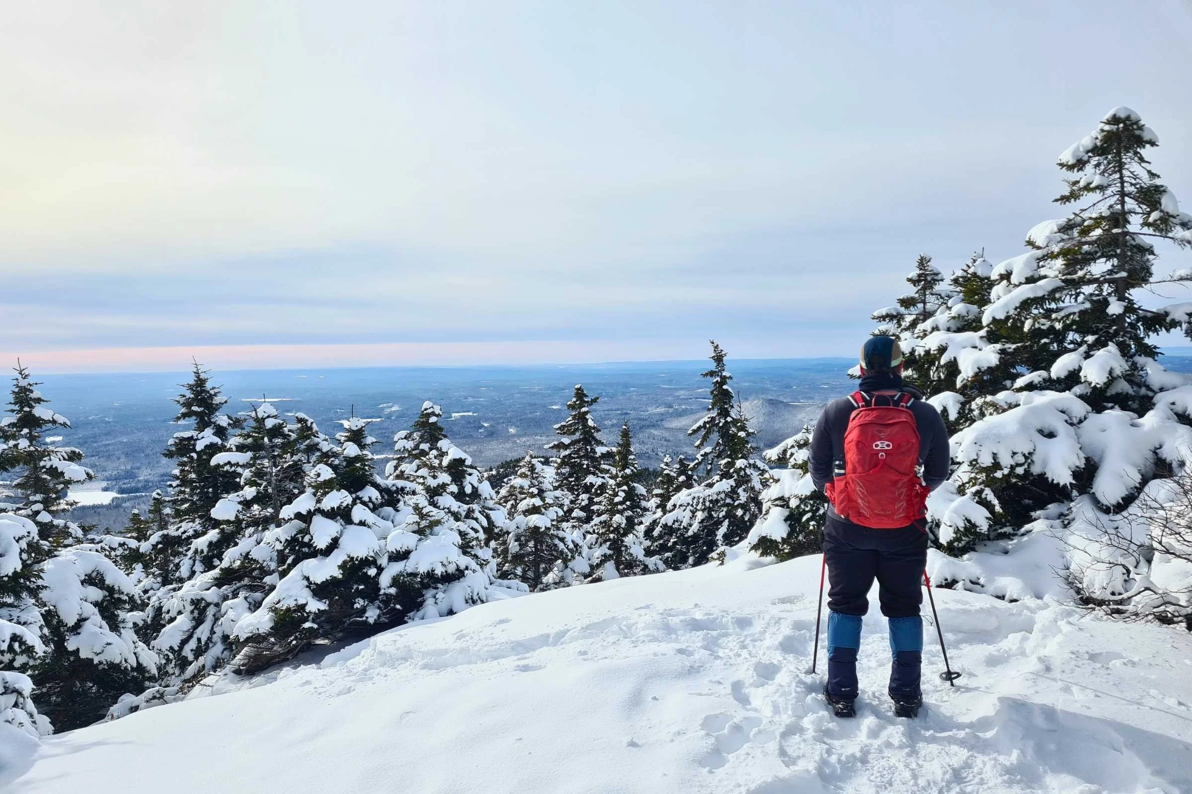 A hiker wearing lightweight grey gaiters over low-cut hiking shoes on a forest trail.