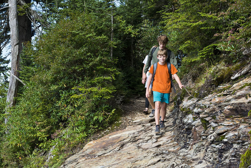 A group of people hiking together on a forested trail.