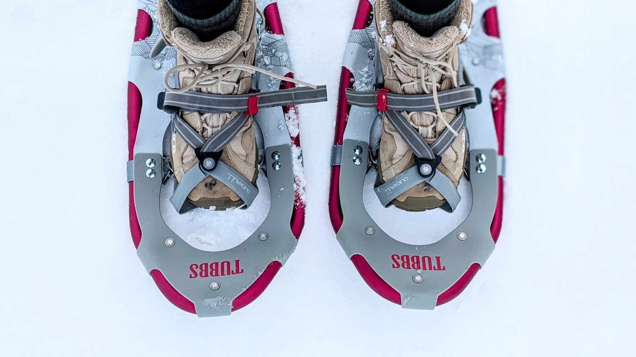 A pair of snowshoes overlooking a diverse winter mountain landscape.