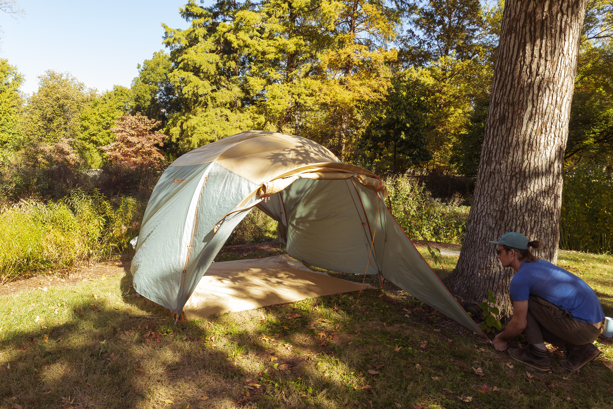 Big Agnes Bunk House 4 fully pitched in a shaded forest area with rainfly tightly guyed out