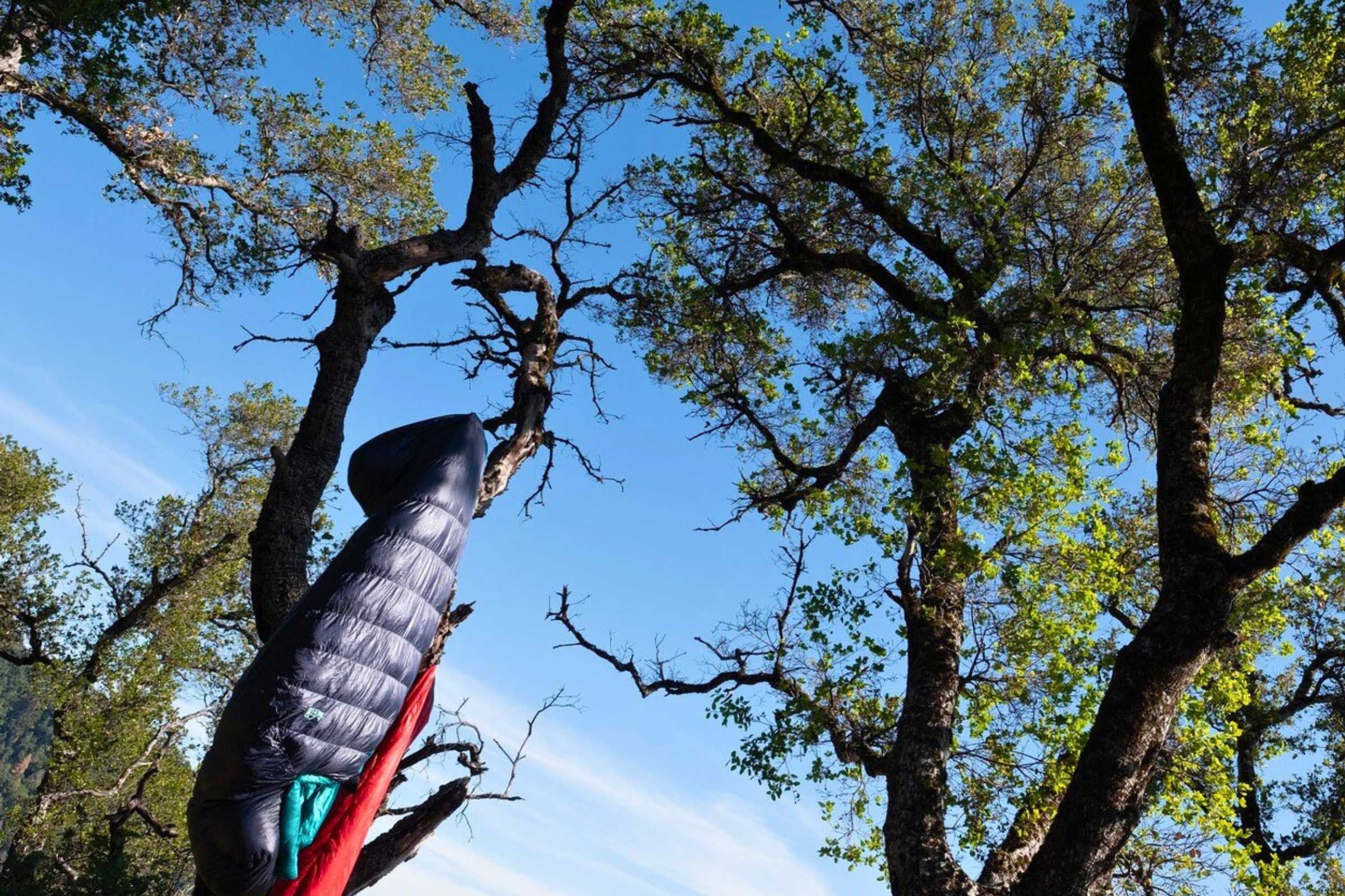 A sleeping bag hangs from a tree branch to dry at a mountain campsite.