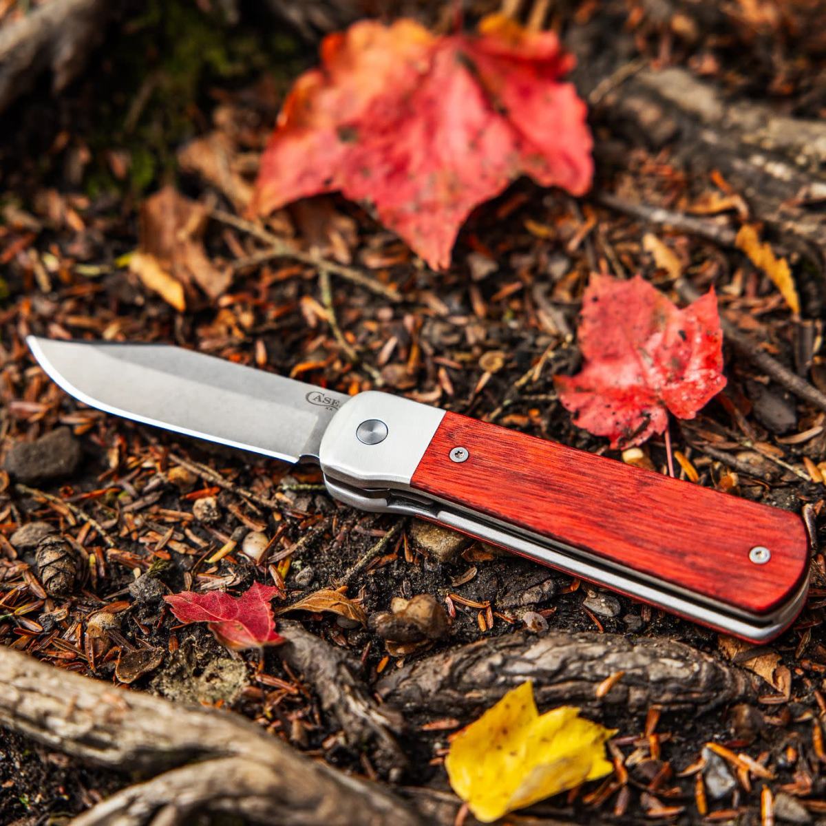 Case Longhouse knife featuring a front flipper and rosewood dymalux handle.