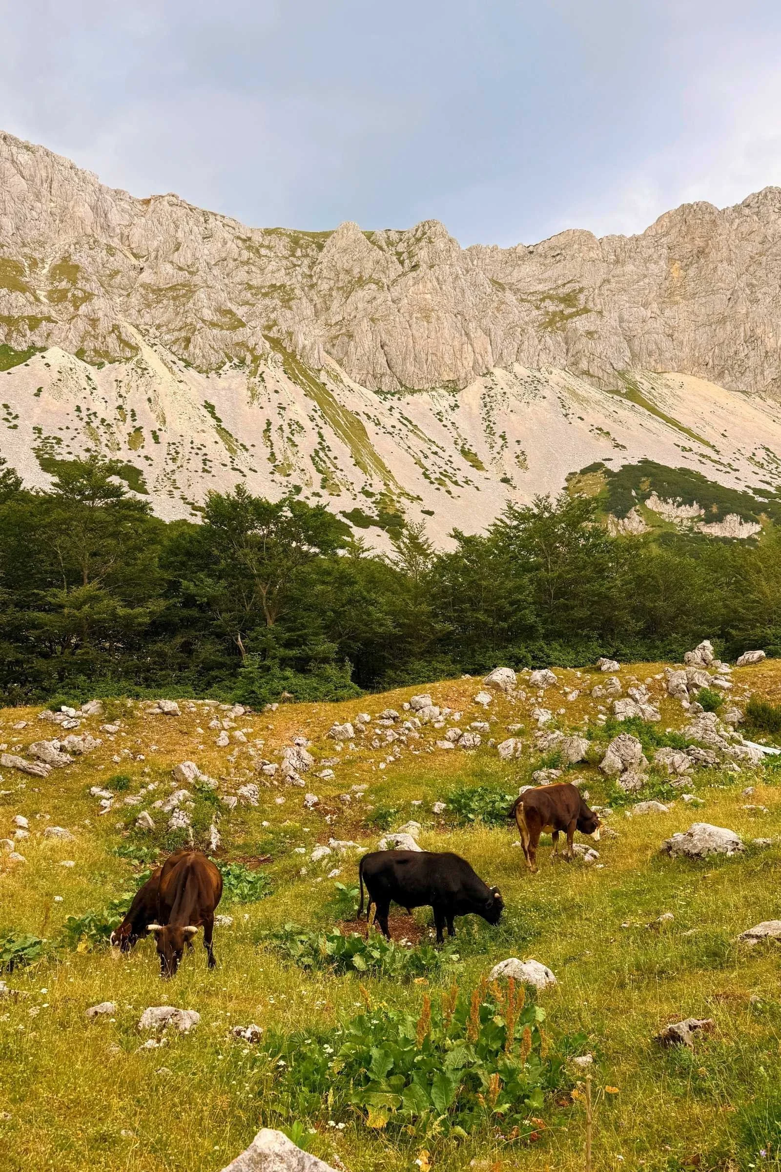 Dramatic clouds gathering over an exposed mountain ridge in the Dinaric Alps.