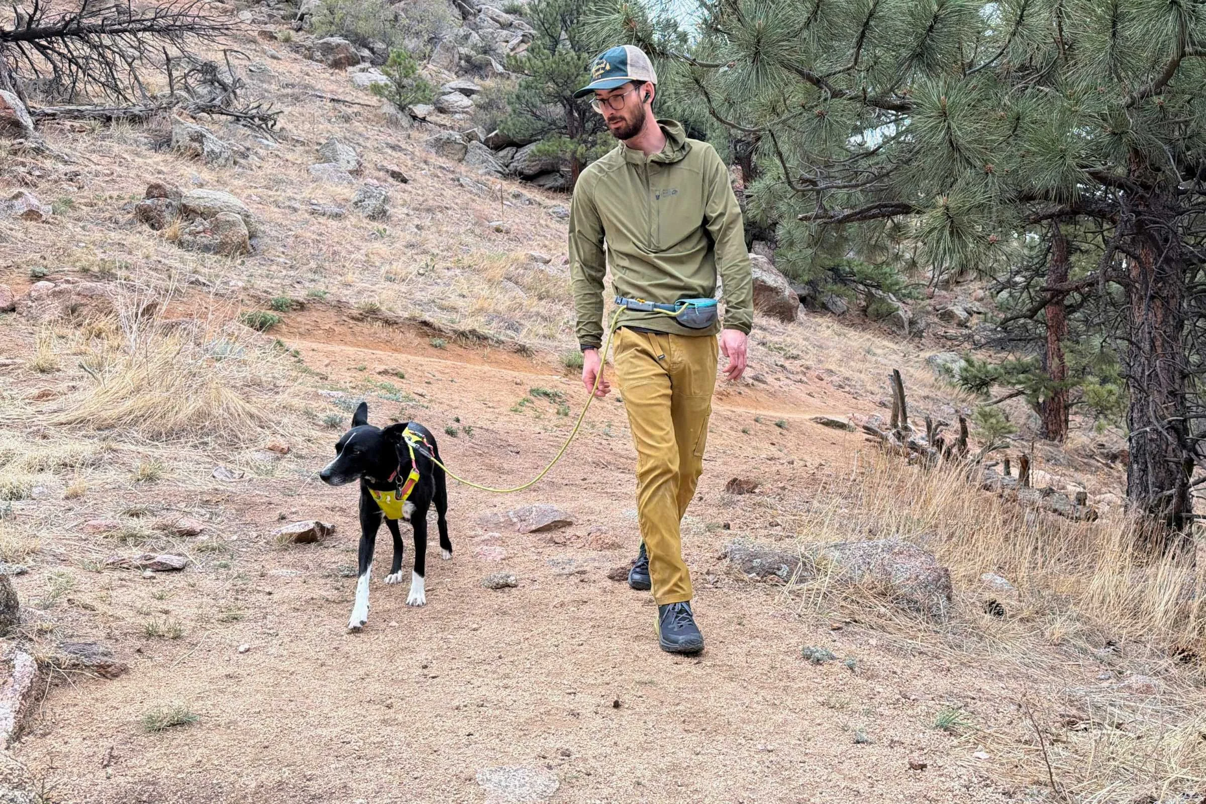 5 Best Hands-Free Dog Leashes of 2026: Tested