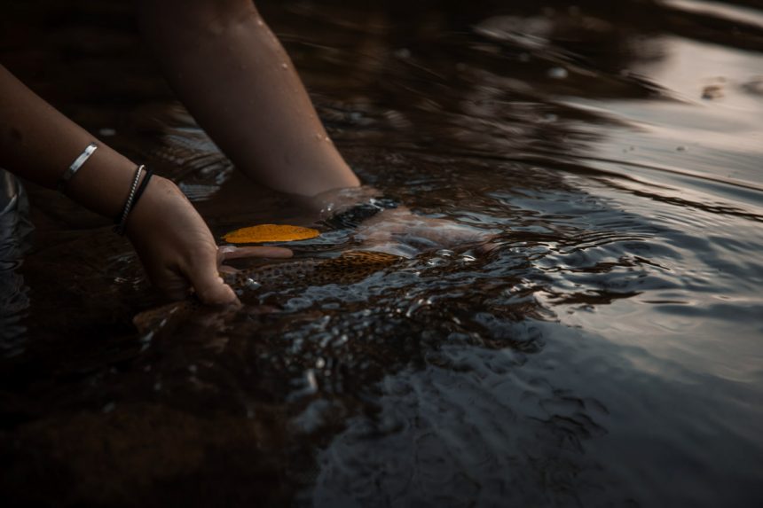 A close up view of a trout being cradled just inches above the water surface.