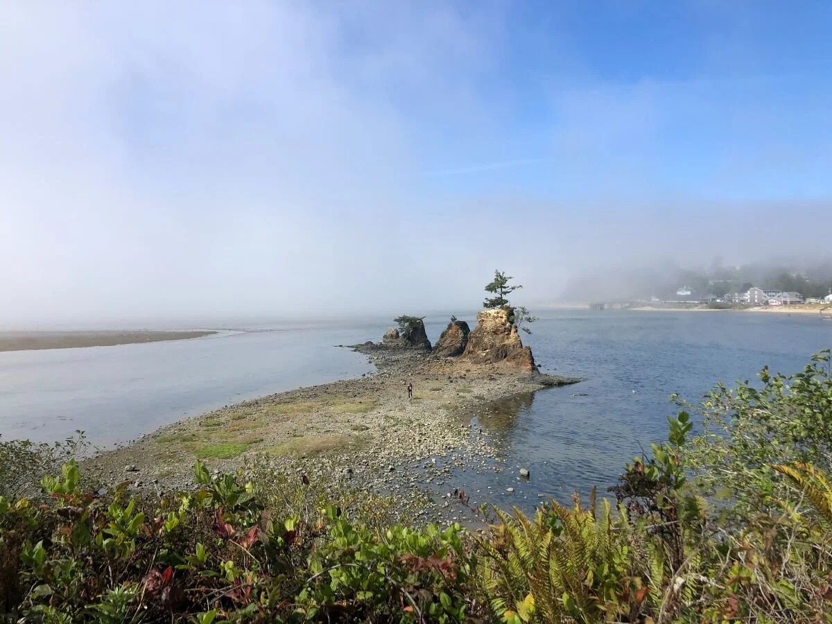 Jagged sea stacks and rock formations along the shoreline at low tide.