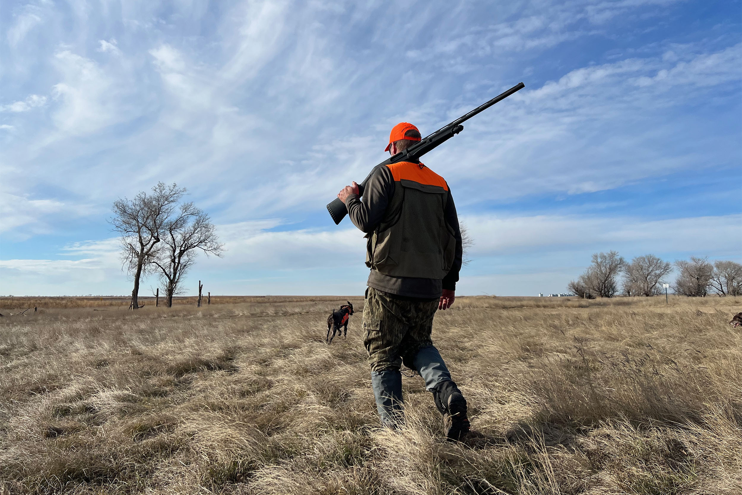 A hunter walking through the Great Plains during a pheasant hunt.