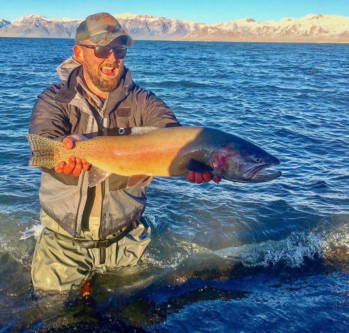 A rainbow trout caught on a silver inline spinner lure.